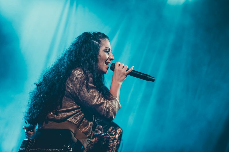 Barbed-Wire-Dallau-2025_1756