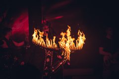 Barbed-Wire-Dallau-2025_1295