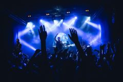 Barbed-Wire-Dallau-2025_1647