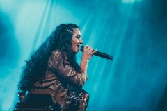 Barbed-Wire-Dallau-2025_1756