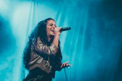 Barbed-Wire-Dallau-2025_1758